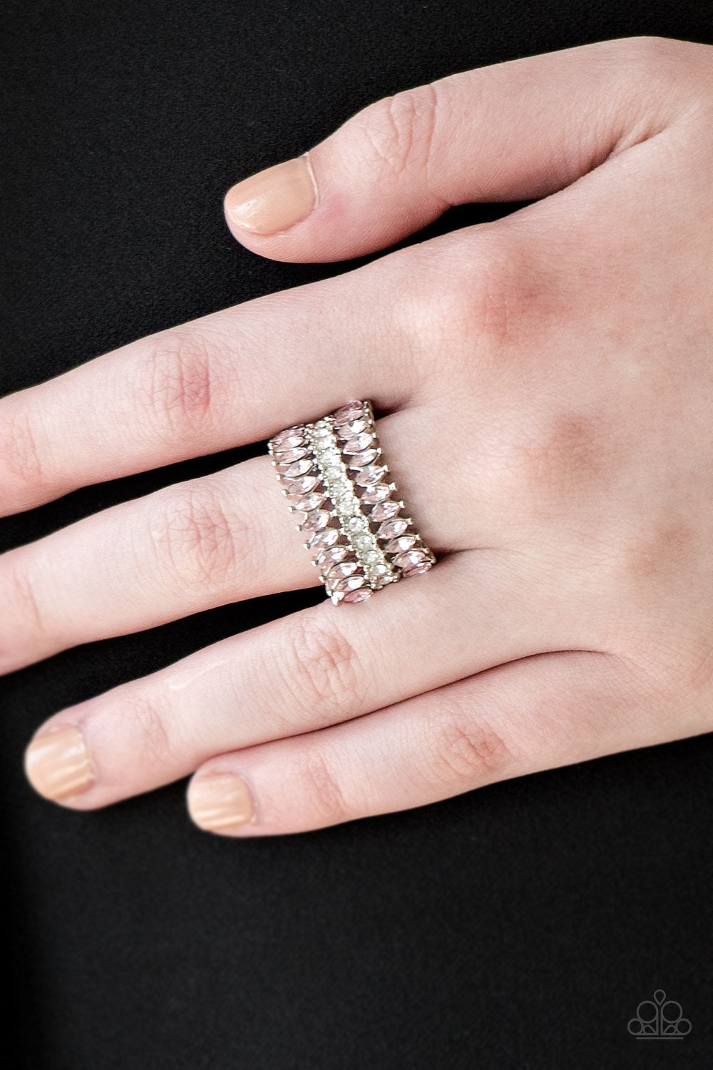 Treasury Fund - Silver w-Pink Ring