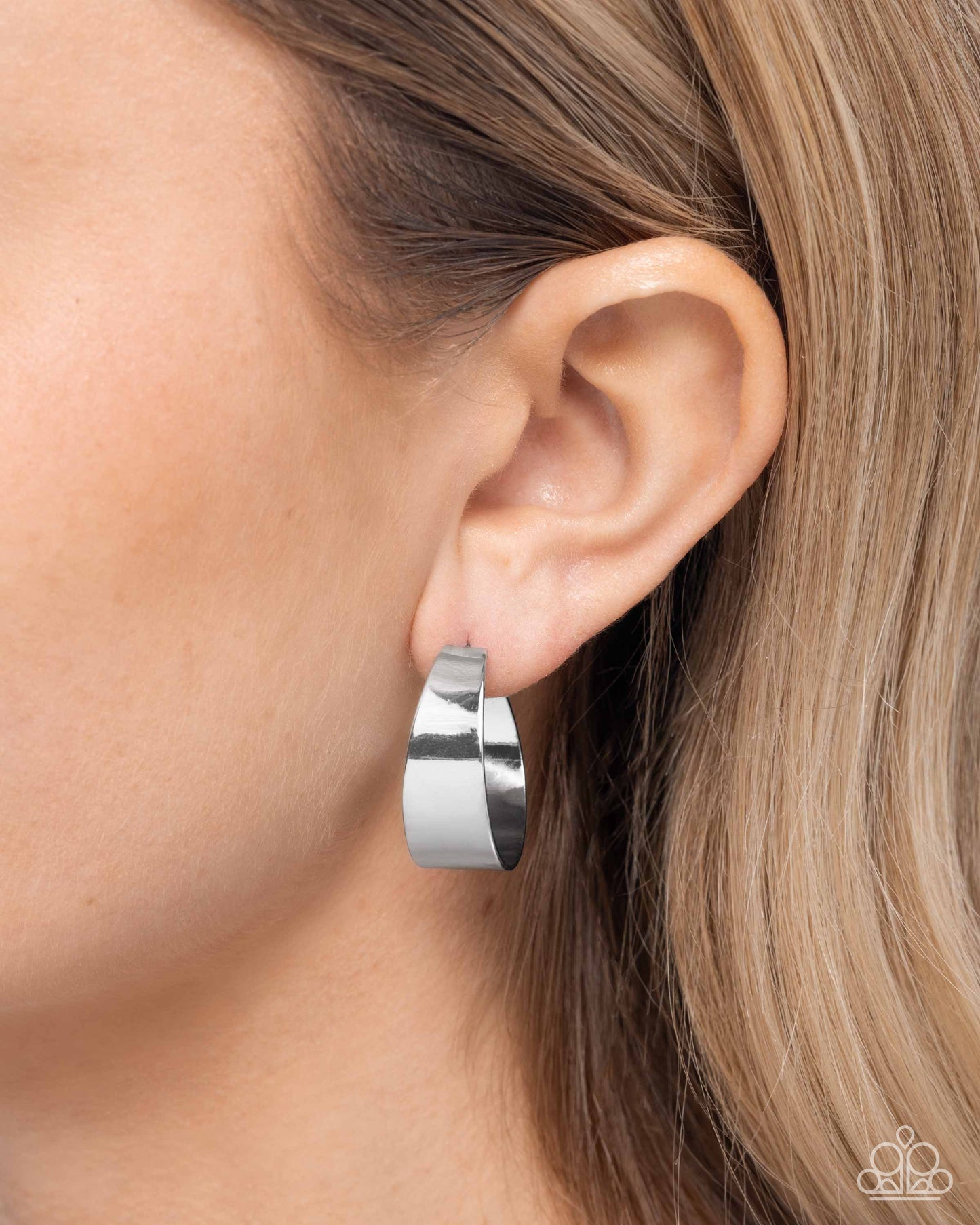 Sleek Secret - Silver Earrings