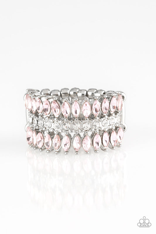 Treasury Fund - Silver w-Pink Ring