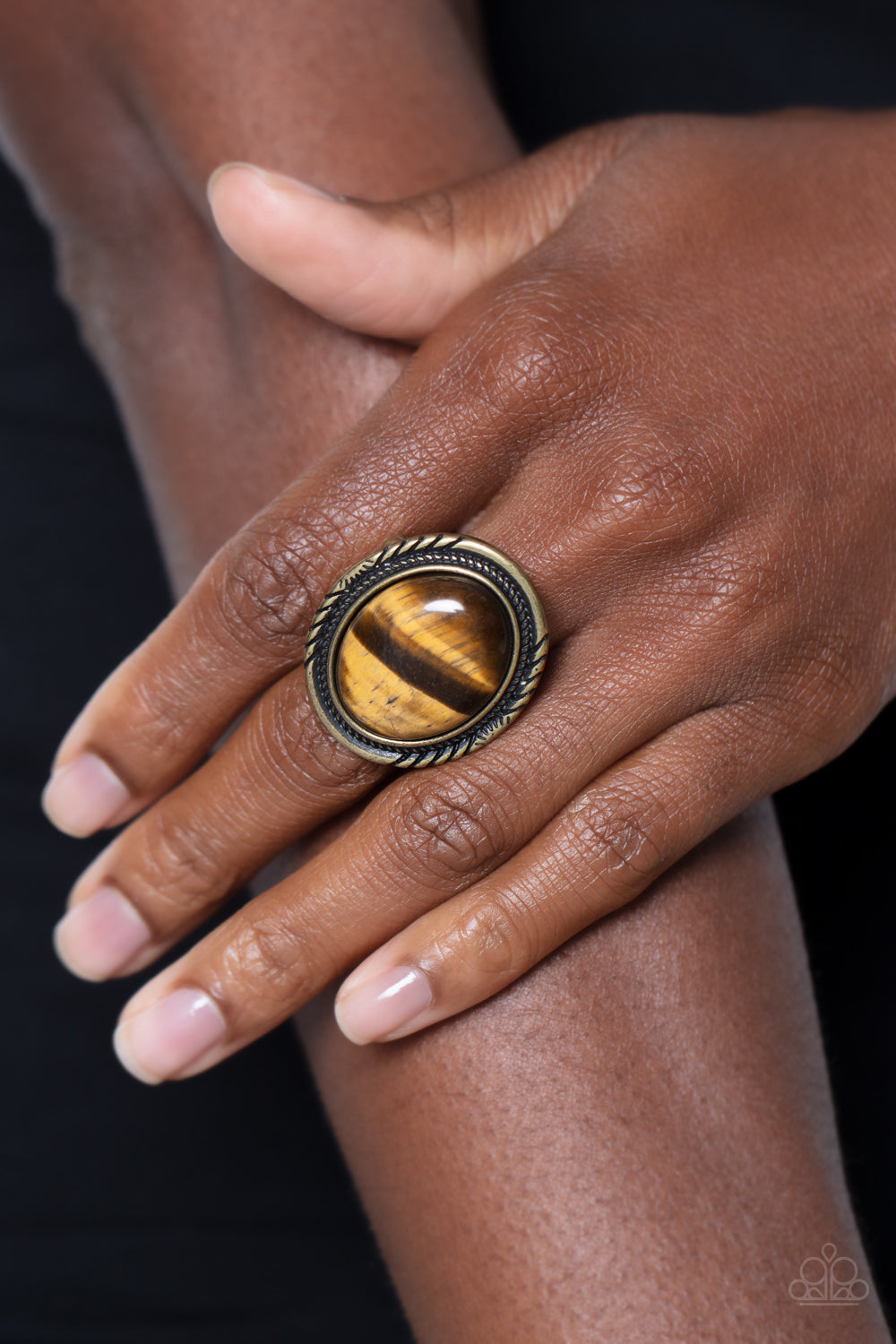 Stone Terrarium - Brass Ring with a glassy tiger's eye stone