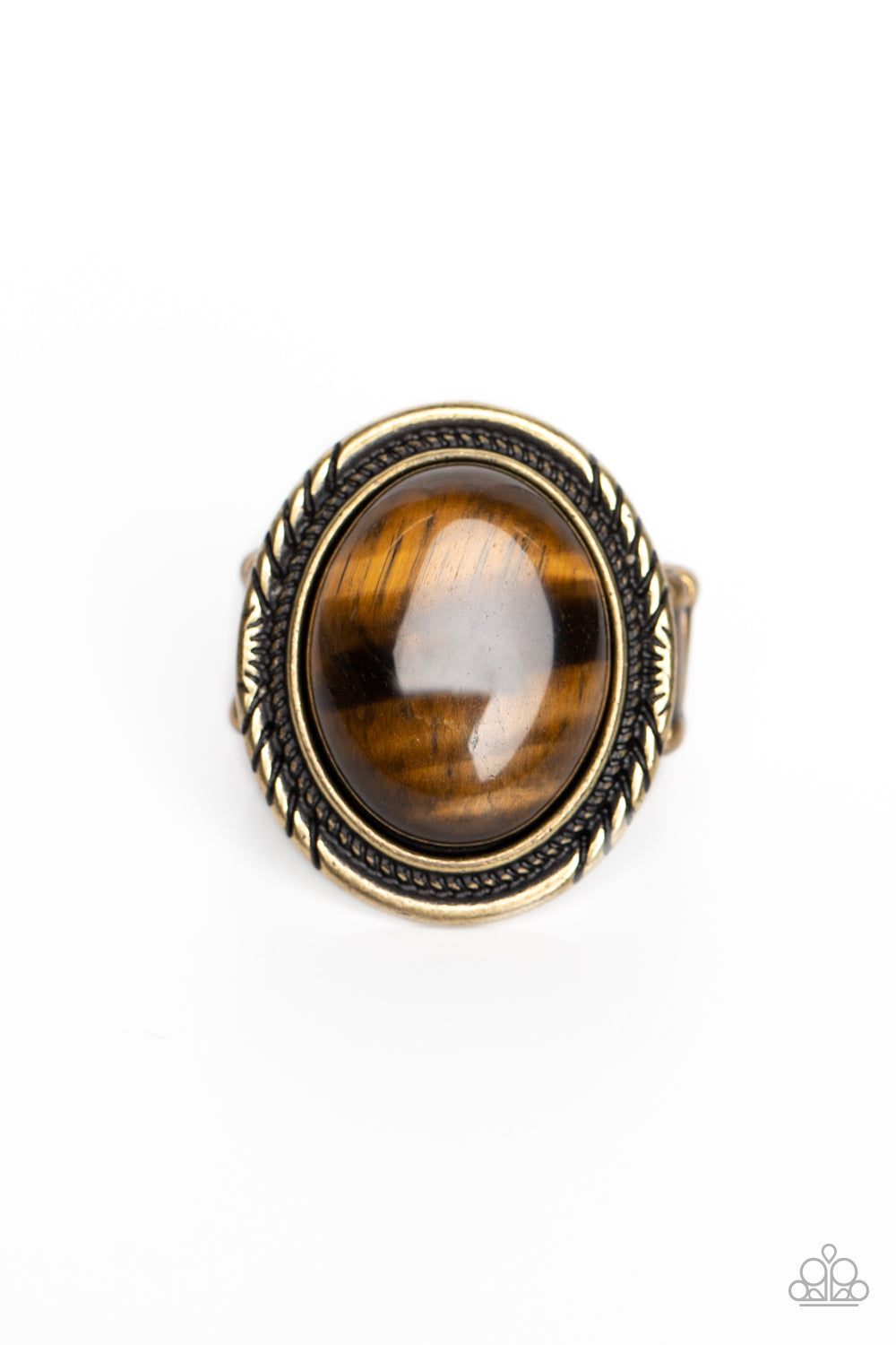 Stone Terrarium - Brass Ring with a glassy tiger's eye stone