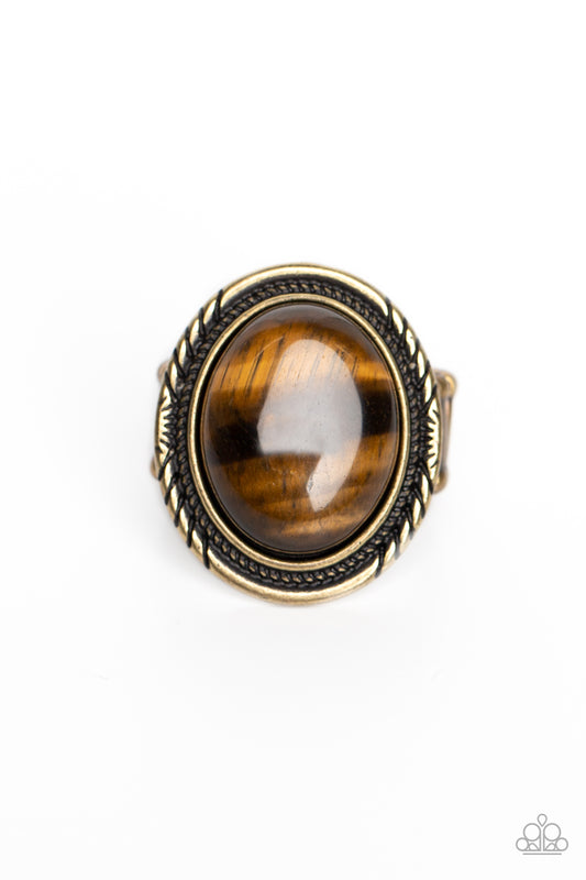 Stone Terrarium - Brass Ring with a glassy tiger's eye stone